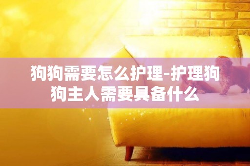 狗狗需要怎么護理-護理狗狗主人需要具備什么