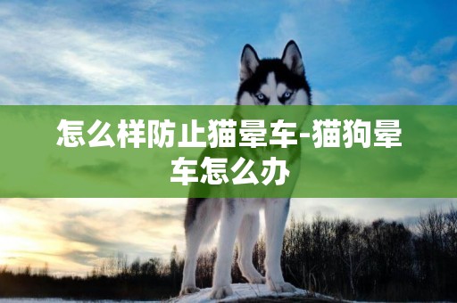 怎么樣防止貓暈車-貓狗暈車怎么辦