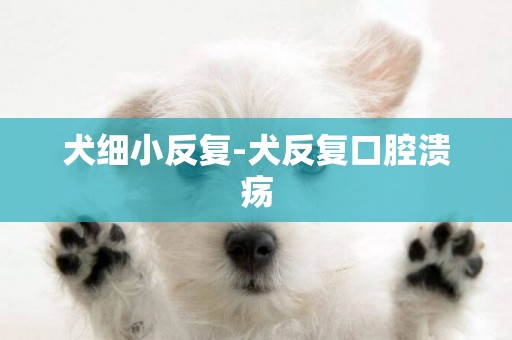 犬細小反復-犬反復口腔潰瘍