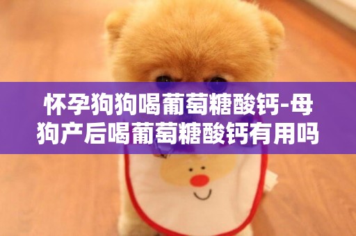 懷孕狗狗喝葡萄糖酸鈣-母狗產后喝葡萄糖酸鈣有用嗎
