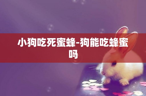 小狗吃死蜜蜂-狗能吃蜂蜜嗎