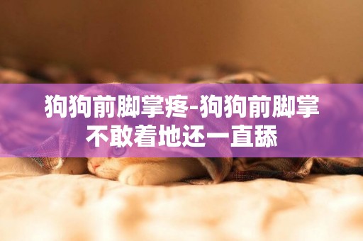 狗狗前腳掌疼-狗狗前腳掌不敢著地還一直舔