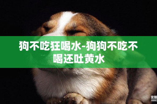 狗不吃狂喝水-狗狗不吃不喝還吐黃水