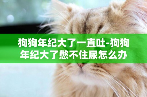 狗狗年紀大了一直吐-狗狗年紀大了憋不住尿怎么辦
