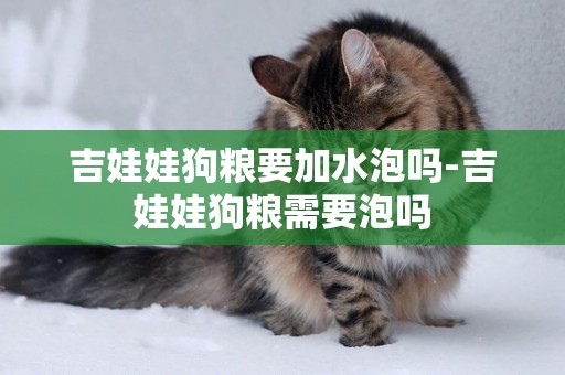 吉娃娃狗糧要加水泡嗎-吉娃娃狗糧需要泡嗎