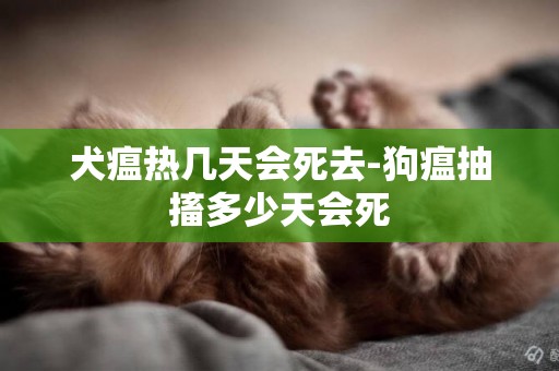 犬瘟熱幾天會死去-狗瘟抽搐多少天會死