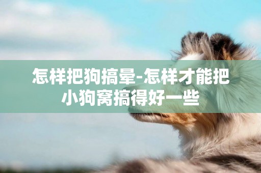 怎樣把狗搞暈-怎樣才能把小狗窩搞得好一些