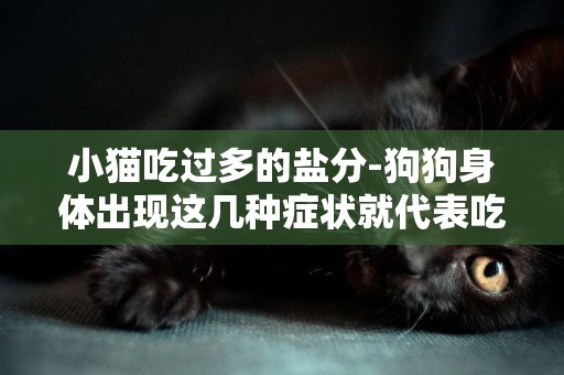 小貓吃過多的鹽分-狗狗身體出現這幾種癥狀就代表吃鹽過多了