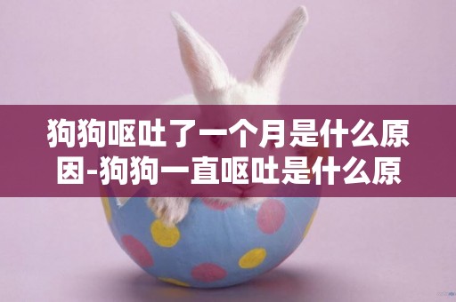 狗狗嘔吐了一個月是什么原因-狗狗一直嘔吐是什么原因