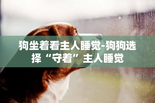 狗坐著看主人睡覺-狗狗選擇“守著”主人睡覺