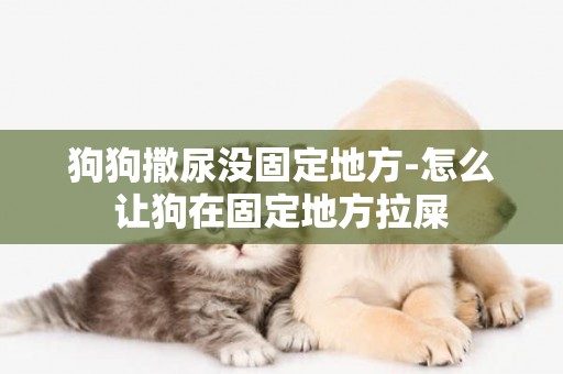 狗狗撒尿沒固定地方-怎么讓狗在固定地方拉屎