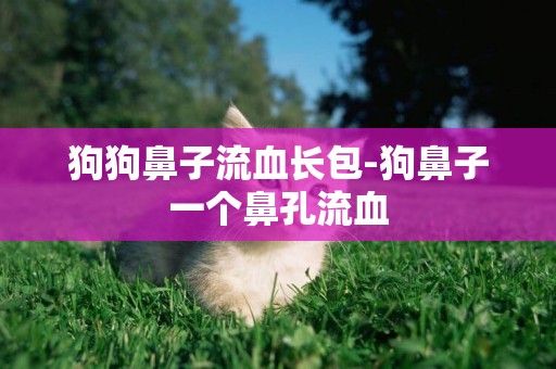 狗狗鼻子流血長包-狗鼻子一個鼻孔流血