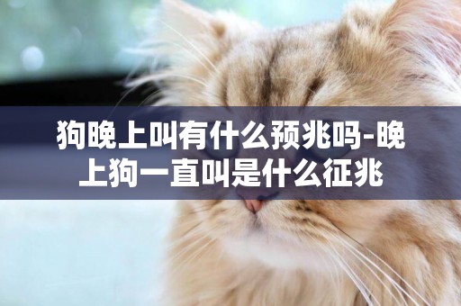 狗晚上叫有什么預兆嗎-晚上狗一直叫是什么征兆