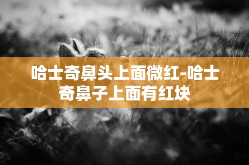 哈士奇鼻頭上面微紅-哈士奇鼻子上面有紅塊