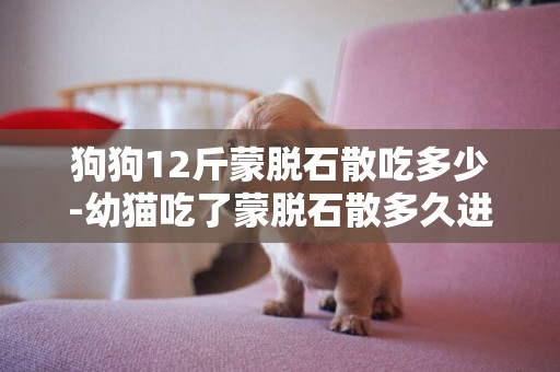 狗狗12斤蒙脫石散吃多少-幼貓吃了蒙脫石散多久進食