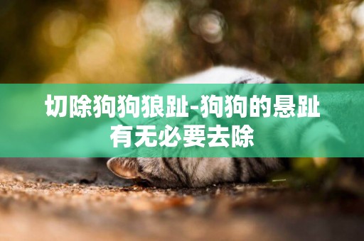 切除狗狗狼趾-狗狗的懸趾有無必要去除