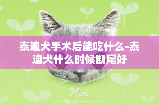 泰迪犬手術后能吃什么-泰迪犬什么時候斷尾好