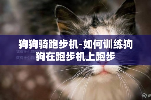 狗狗騎跑步機-如何訓練狗狗在跑步機上跑步