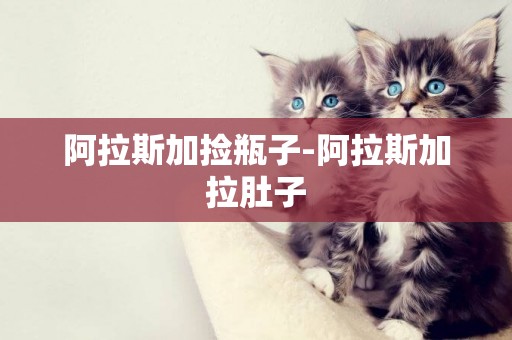 阿拉斯加撿瓶子-阿拉斯加拉肚子