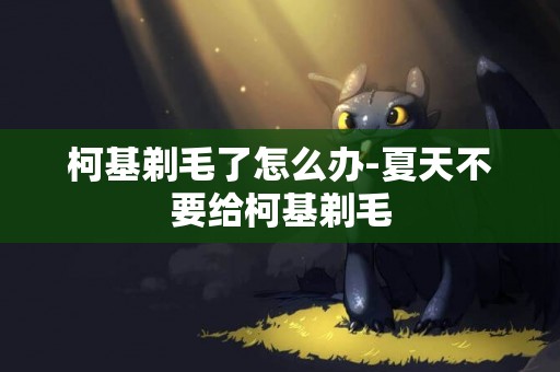 柯基剃毛了怎么辦-夏天不要給柯基剃毛