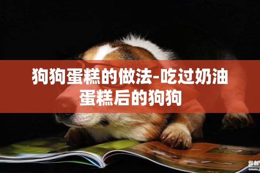 狗狗蛋糕的做法-吃過奶油蛋糕后的狗狗