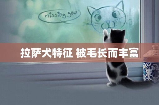 拉薩犬特征 被毛長而豐富