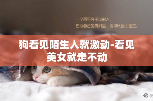 狗看見陌生人就激動-看見美女就走不動