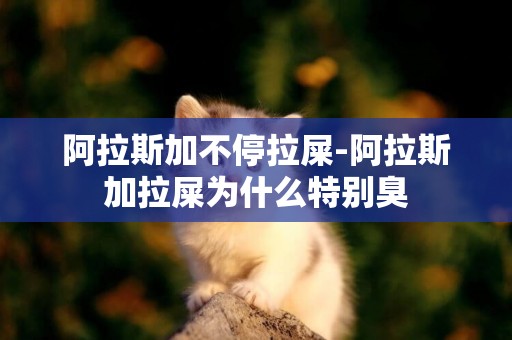 阿拉斯加不停拉屎-阿拉斯加拉屎為什么特別臭