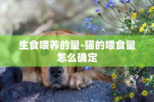 生食喂養的量-貓的喂食量怎么確定