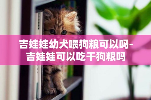 吉娃娃幼犬喂狗糧可以嗎-吉娃娃可以吃干狗糧嗎