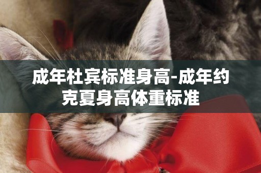 成年杜賓標準身高-成年約克夏身高體重標準