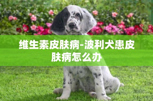 維生素皮膚病-波利犬患皮膚病怎么辦