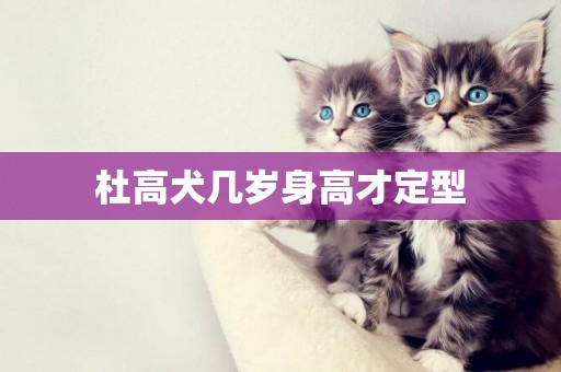 杜高犬幾歲身高才定型