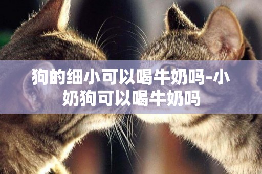 狗的細小可以喝牛奶嗎-小奶狗可以喝牛奶嗎