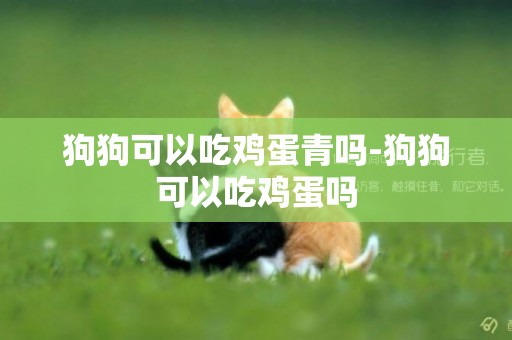 狗狗可以吃雞蛋青嗎-狗狗可以吃雞蛋嗎