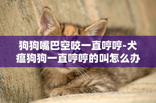 狗狗嘴巴空咬一直哼哼-犬瘟狗狗一直哼哼的叫怎么辦