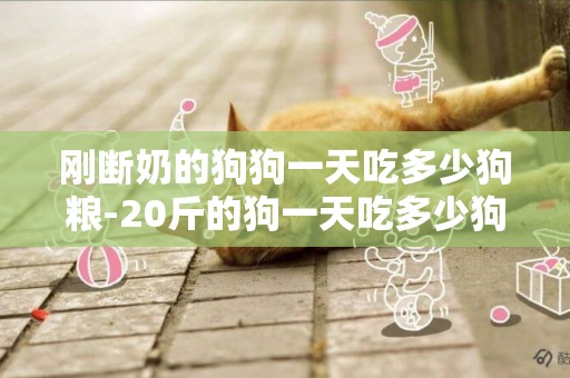 剛斷奶的狗狗一天吃多少狗糧-20斤的狗一天吃多少狗糧