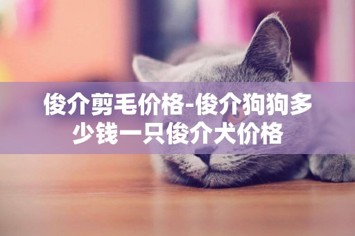 俊介剪毛價格-俊介狗狗多少錢一只俊介犬價格