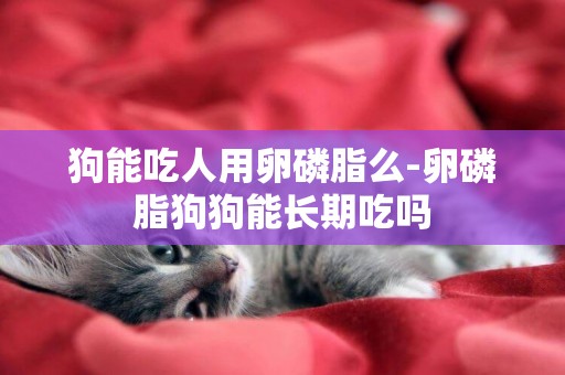 狗能吃人用卵磷脂么-卵磷脂狗狗能長期吃嗎