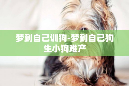 夢到自己訓狗-夢到自己狗生小狗難產
