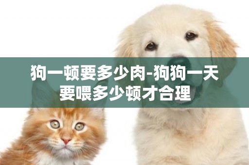 狗一頓要多少肉-狗狗一天要喂多少頓才合理