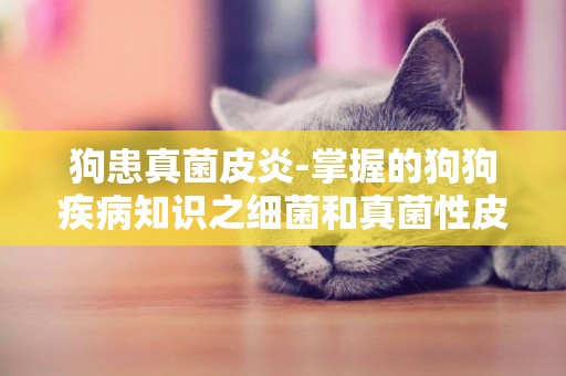 狗患真菌皮炎-掌握的狗狗疾病知識之細菌和真菌性皮炎