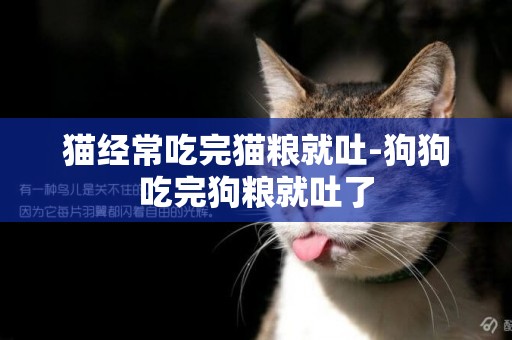 貓經常吃完貓糧就吐-狗狗吃完狗糧就吐了
