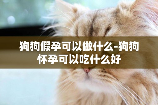 狗狗假孕可以做什么-狗狗懷孕可以吃什么好