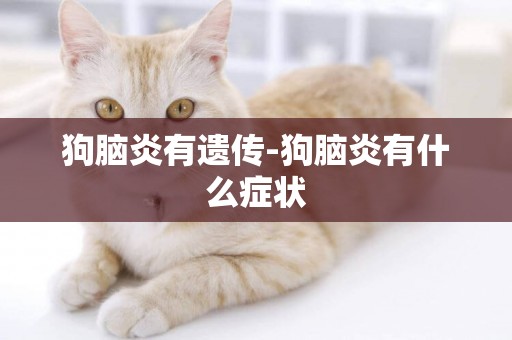 狗腦炎有遺傳-狗腦炎有什么癥狀