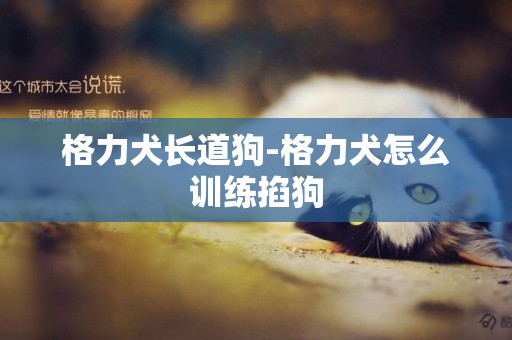 格力犬長道狗-格力犬怎么訓練掐狗