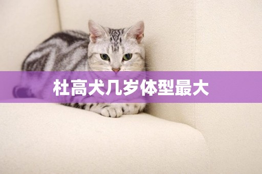 杜高犬幾歲體型最大