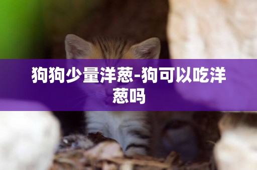 狗狗少量洋蔥-狗可以吃洋蔥嗎