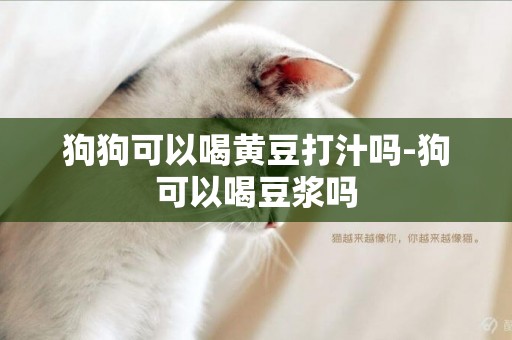 狗狗可以喝黃豆打汁嗎-狗可以喝豆漿嗎