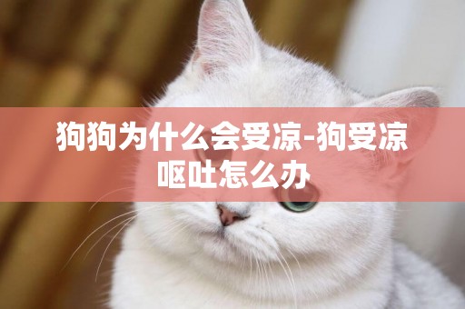 狗狗為什么會受涼-狗受涼嘔吐怎么辦